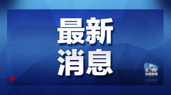海诺最新爆料消息新闻